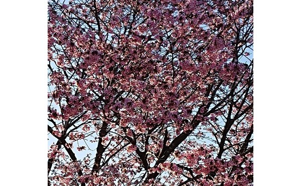 休みの過ごし方