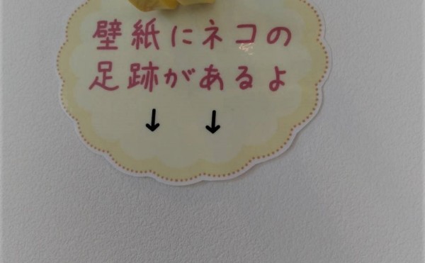 マグネットがつく壁・・・