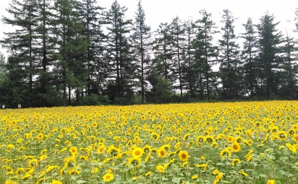 十勝ラブ♡（？）プロジェクト始動！！