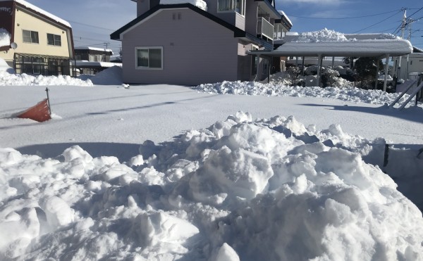 みなさま、今年もよろしくお願い致します。
