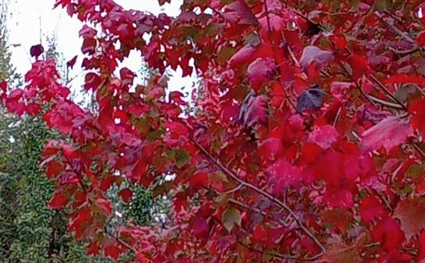 最近の人気アイテム