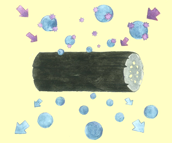 ギュギュッと十勝市場